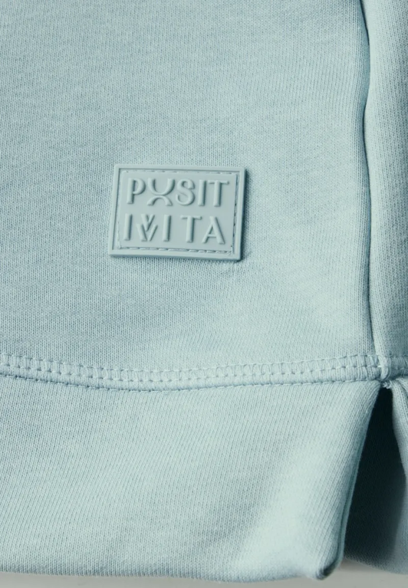 Cecil Pullover & Sweatshirts*Basic Hoodie cool salvia green