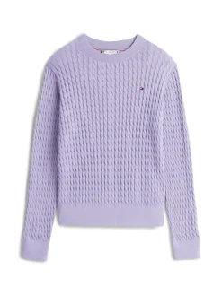 Tommy Hilfiger Pullover & Sweatshirts*CO CABLE FINE GG C-NK LS SWT lavender ash