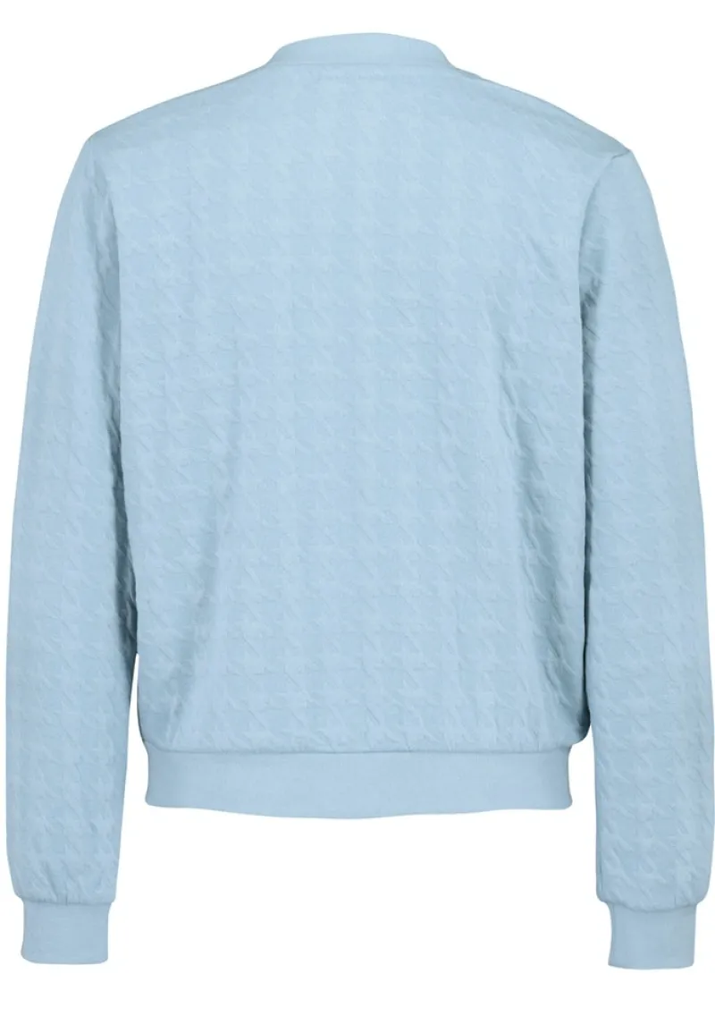 Eight 2 Nine Pullover & Sweatshirts*DOB Bomberjacke in jacquard sweat,langarm,Rippbündchen+Stehkragen sky grey blue