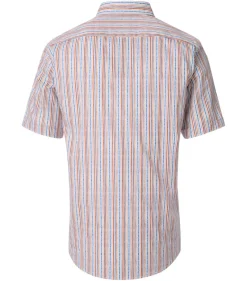 CASAMODA Hemden*Freizeithemd Kurzarm Orange