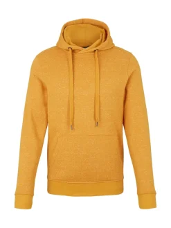 Tom Tailor Pullover & Sweatshirts|Big Boys*Hoodie mit feinen Streifen flame brown injected stripe