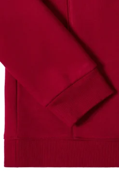 Cecil Pullover & Sweatshirts*Hoodie mit Stickerei beaujolais red