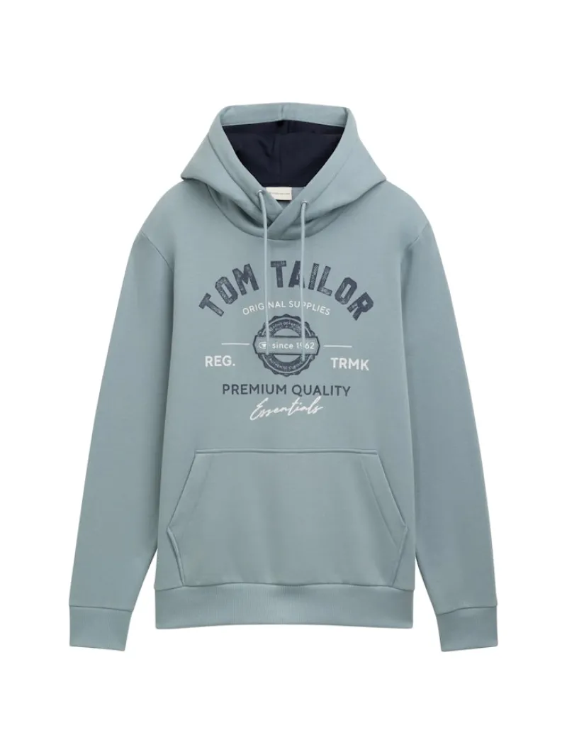 Tom Tailor Pullover & Sweatshirts|Big Boys*Hoodie Sweatshirt mit Logo-Print grey mint