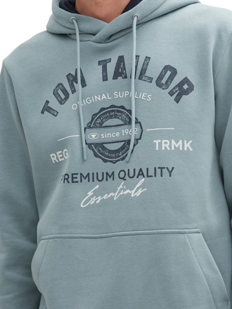 Tom Tailor Pullover & Sweatshirts|Big Boys*Hoodie Sweatshirt mit Logo-Print grey mint