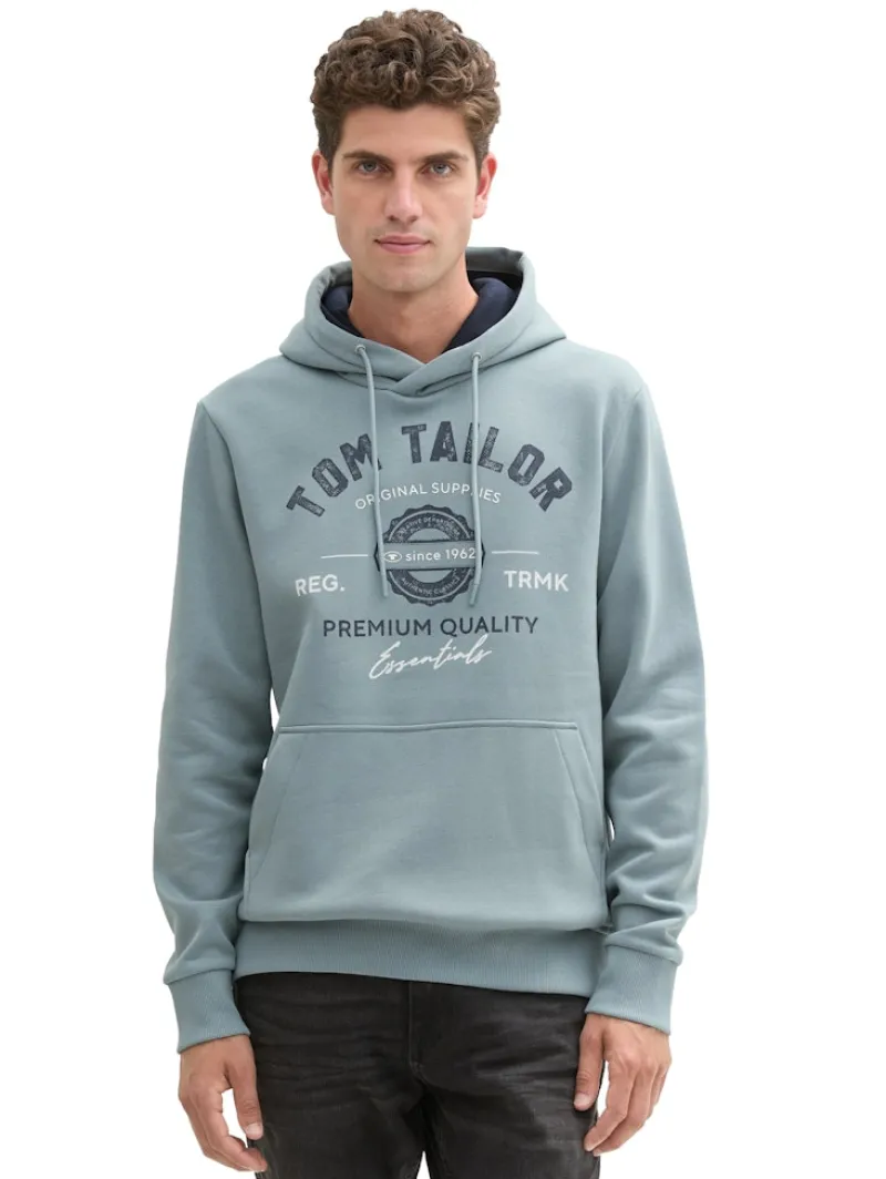 Tom Tailor Pullover & Sweatshirts|Big Boys*Hoodie Sweatshirt mit Logo-Print grey mint