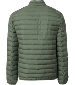 CASAMODA Jacken|Big Boys*Jacke Grün