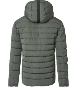 CASAMODA Jacken|Big Boys*Jacke Grün