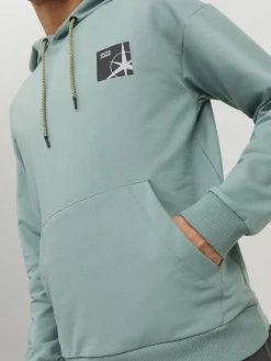 Jack & Jones Pullover & Sweatshirts*JCOFILO SWEAT HOOD SN trellis