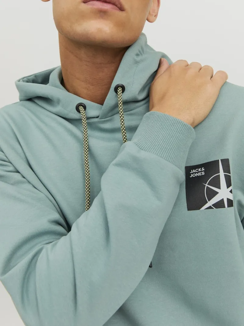 Jack & Jones Pullover & Sweatshirts*JCOFILO SWEAT HOOD SN trellis