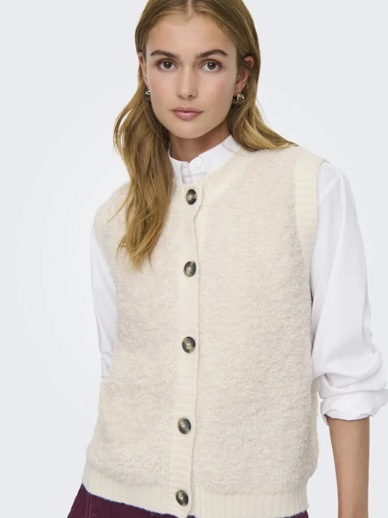 JDY Pullover & Sweatshirts*EIRA LIFE S/L ON BUTTON VEST KNT NOOS birch