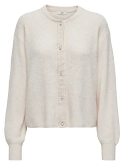 JDY Pullover & Sweatshirts*LUMI LIFE L/S BUTTON CARDIGA KNT NOOS birch