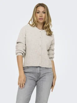 JDY Pullover & Sweatshirts*LUMI LIFE L/S BUTTON CARDIGA KNT NOOS birch