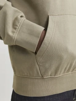 Jack & Jones Pullover & Sweatshirts*JJECHARGE FADED SWEAT HOOD NOOS Silver Sage