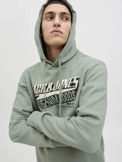 Jack & Jones Pullover & Sweatshirts*JJELOGO SWEAT HOOD 2 COL 25/26 NOOS iceberg green