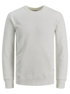 Jack & Jones Pullover & Sweatshirts*JJEORGANIC BASIC SWEAT CREW NECK NOOS Cloud Dancer