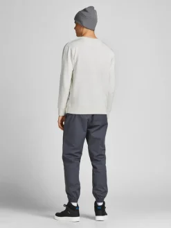 Jack & Jones Pullover & Sweatshirts*JJEORGANIC BASIC SWEAT CREW NECK NOOS Cloud Dancer