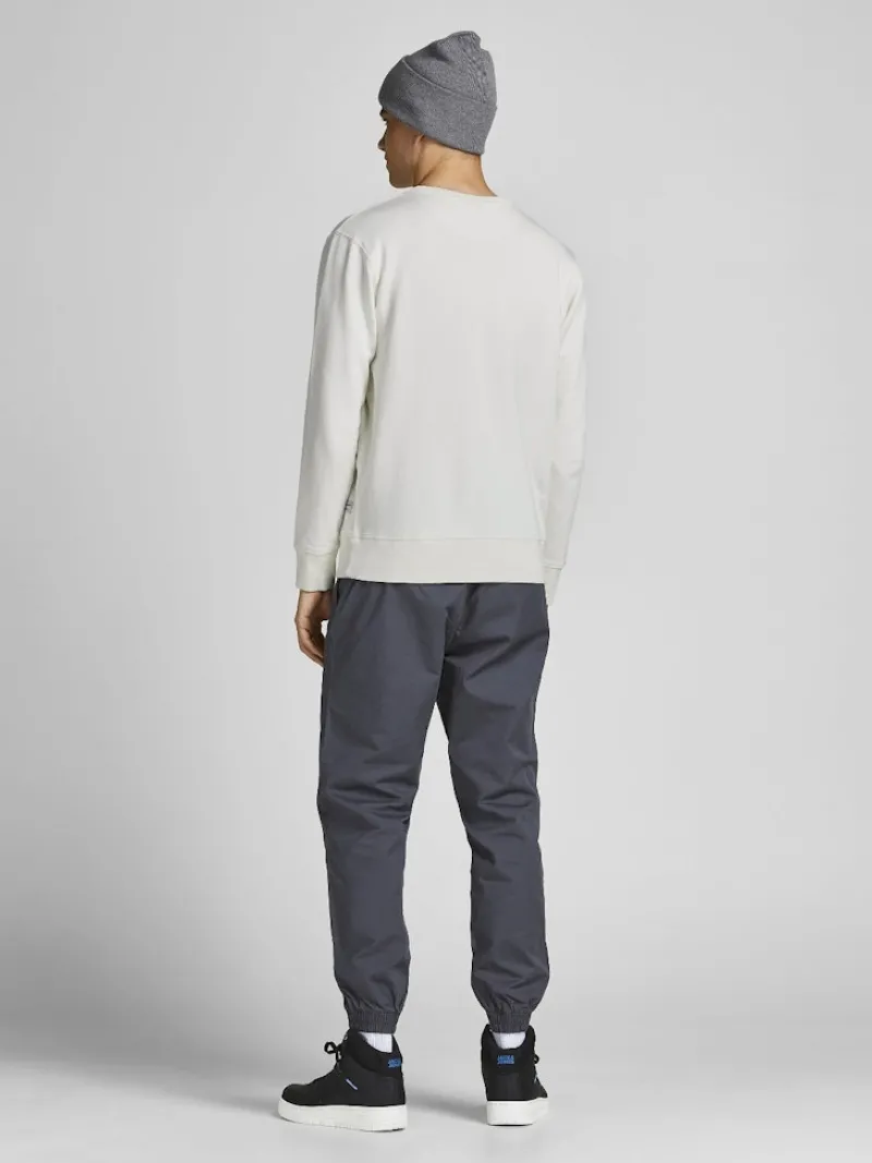 Jack & Jones Pullover & Sweatshirts*JJEORGANIC BASIC SWEAT CREW NECK NOOS Cloud Dancer