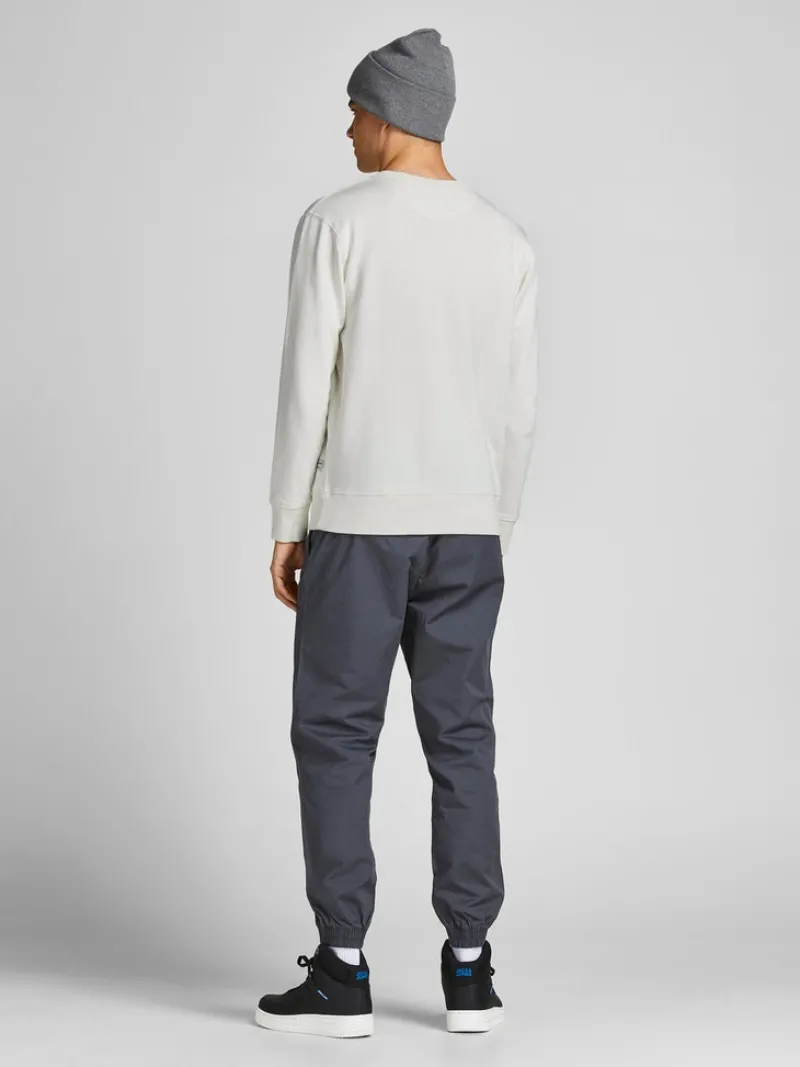 Jack & Jones Pullover & Sweatshirts*JJEORGANIC BASIC SWEAT CREW NECK NOOS Cloud Dancer
