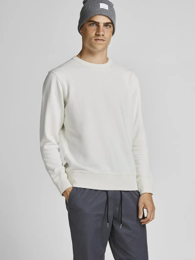 Jack & Jones Pullover & Sweatshirts*JJEORGANIC BASIC SWEAT CREW NECK NOOS Cloud Dancer