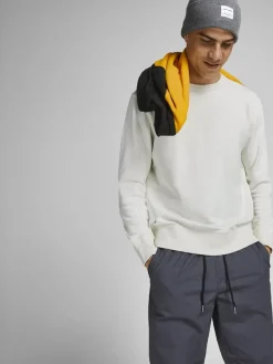 Jack & Jones Pullover & Sweatshirts*JJEORGANIC BASIC SWEAT CREW NECK NOOS Cloud Dancer