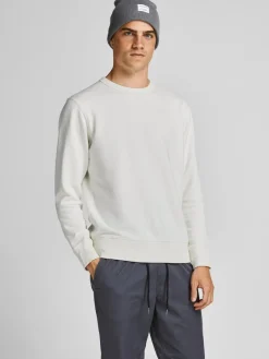 Jack & Jones Pullover & Sweatshirts*JJEORGANIC BASIC SWEAT CREW NECK NOOS Cloud Dancer