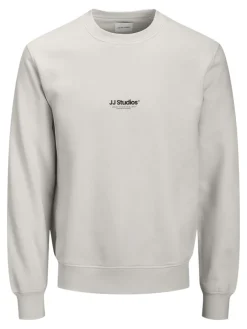 Jack & Jones Pullover & Sweatshirts*JJESOHO SWEAT CREW NECK NOOS moonbeam