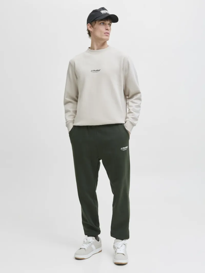 Jack & Jones Pullover & Sweatshirts*JJESOHO SWEAT CREW NECK NOOS moonbeam