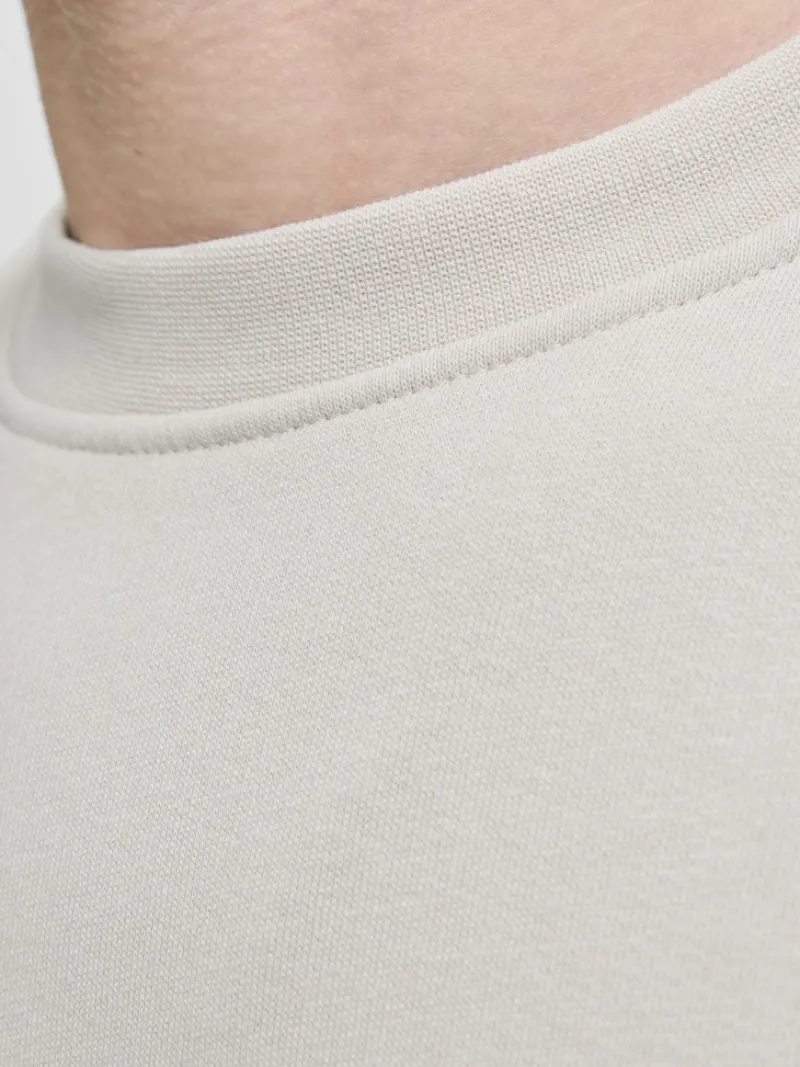 Jack & Jones Pullover & Sweatshirts*JJESOHO SWEAT CREW NECK NOOS moonbeam