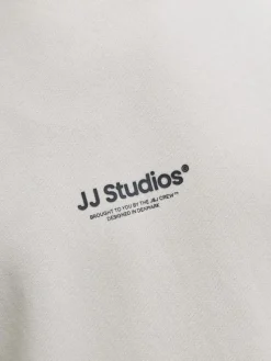 Jack & Jones Pullover & Sweatshirts*JJESOHO SWEAT CREW NECK NOOS moonbeam