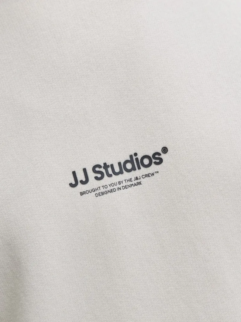 Jack & Jones Pullover & Sweatshirts*JJESOHO SWEAT CREW NECK NOOS moonbeam