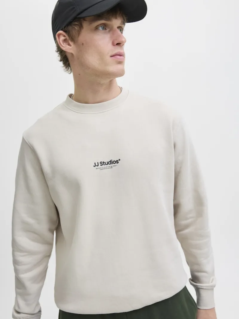 Jack & Jones Pullover & Sweatshirts*JJESOHO SWEAT CREW NECK NOOS moonbeam