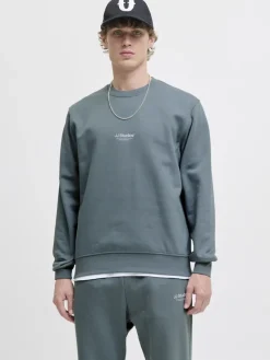 Jack & Jones Pullover & Sweatshirts*JJESOHO SWEAT CREW NECK NOOS Stormy Weather