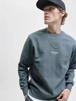 Jack & Jones Pullover & Sweatshirts*JJESOHO SWEAT CREW NECK NOOS Stormy Weather