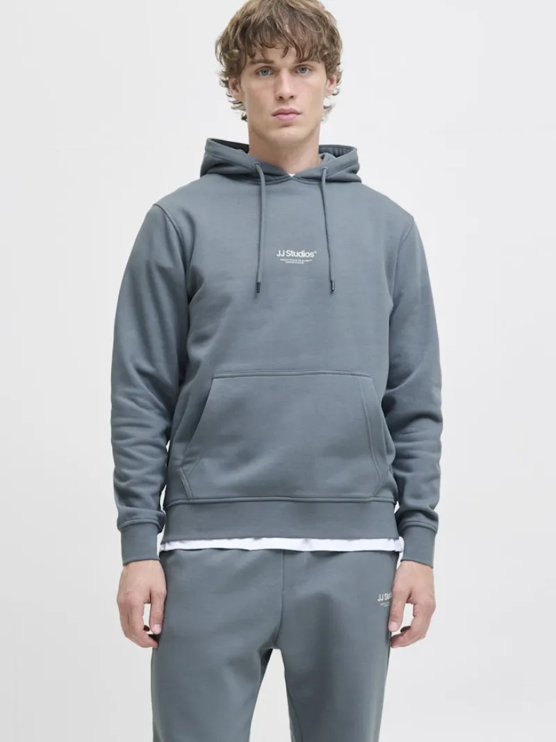 Jack & Jones Pullover & Sweatshirts*JJESOHO SWEAT HOOD NOOS Stormy Weather