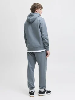 Jack & Jones Pullover & Sweatshirts*JJESOHO SWEAT HOOD NOOS Stormy Weather