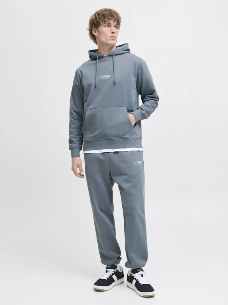 Jack & Jones Pullover & Sweatshirts*JJESOHO SWEAT HOOD NOOS Stormy Weather