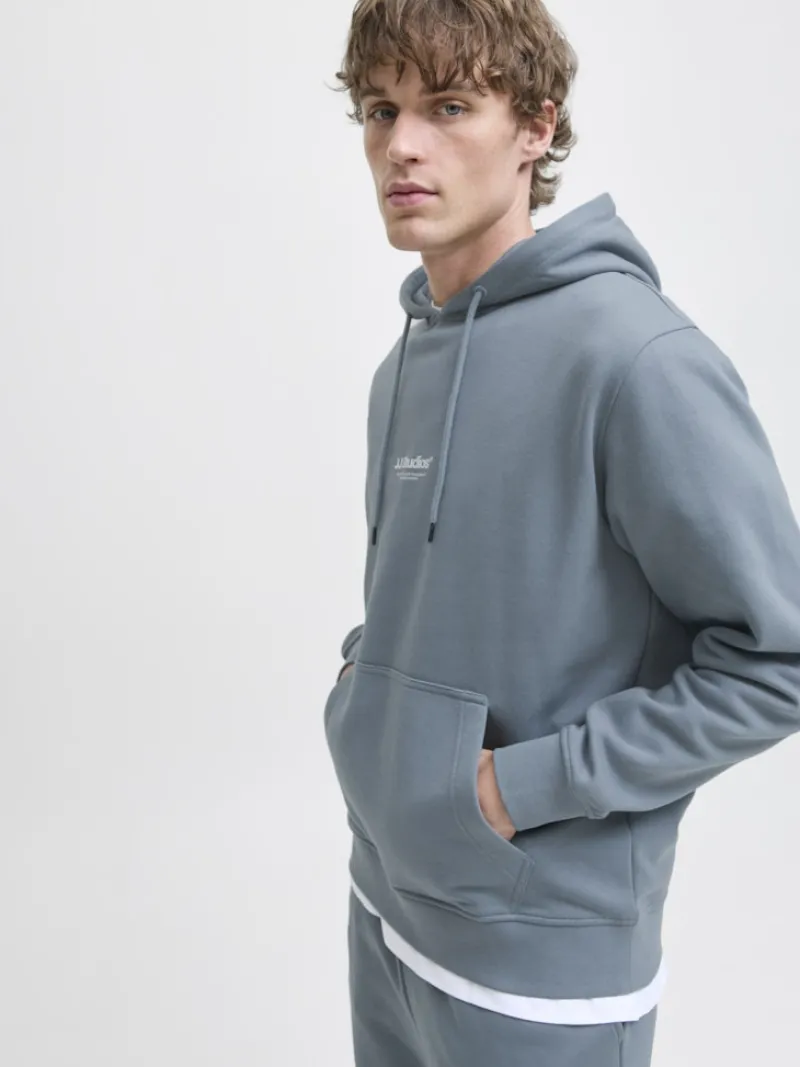 Jack & Jones Pullover & Sweatshirts*JJESOHO SWEAT HOOD NOOS Stormy Weather
