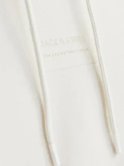 Jack & Jones Pullover & Sweatshirts*JJHAKKAI SWEAT HOOD moonbeam