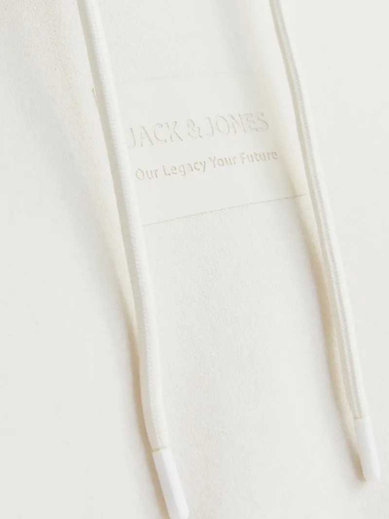 Jack & Jones Pullover & Sweatshirts*JJHAKKAI SWEAT HOOD moonbeam