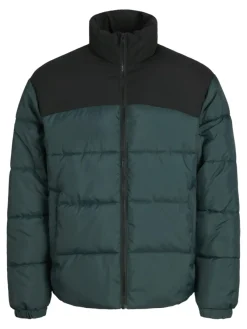 Jack & Jones Jacken*JJMOON STAND COLLAR PUFFER Magical Forest