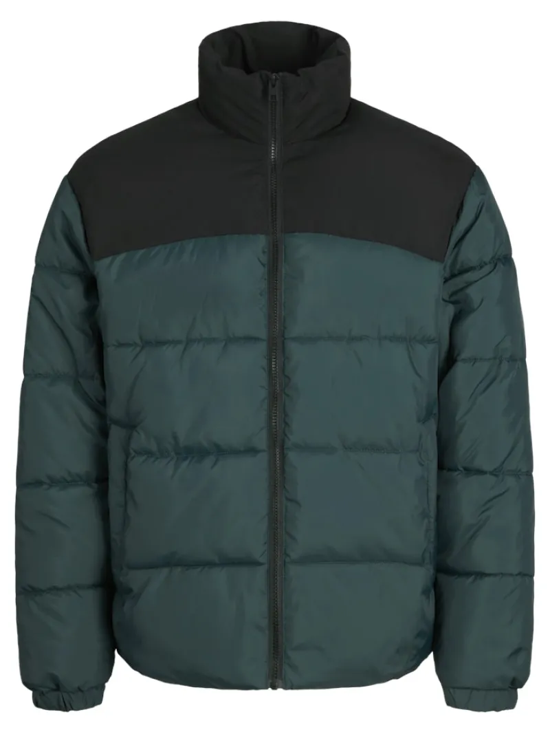 Jack & Jones Jacken*JJMOON STAND COLLAR PUFFER Magical Forest