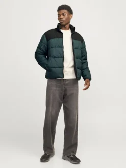 Jack & Jones Jacken*JJMOON STAND COLLAR PUFFER Magical Forest