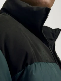 Jack & Jones Jacken*JJMOON STAND COLLAR PUFFER Magical Forest