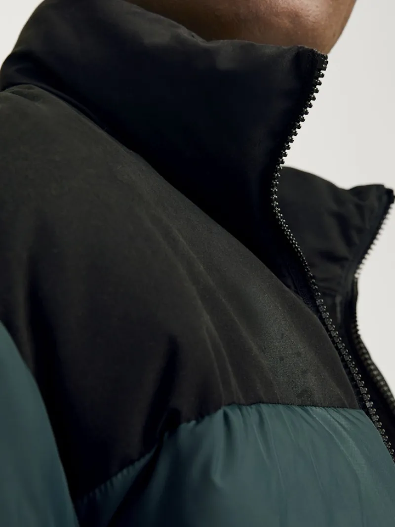 Jack & Jones Jacken*JJMOON STAND COLLAR PUFFER Magical Forest