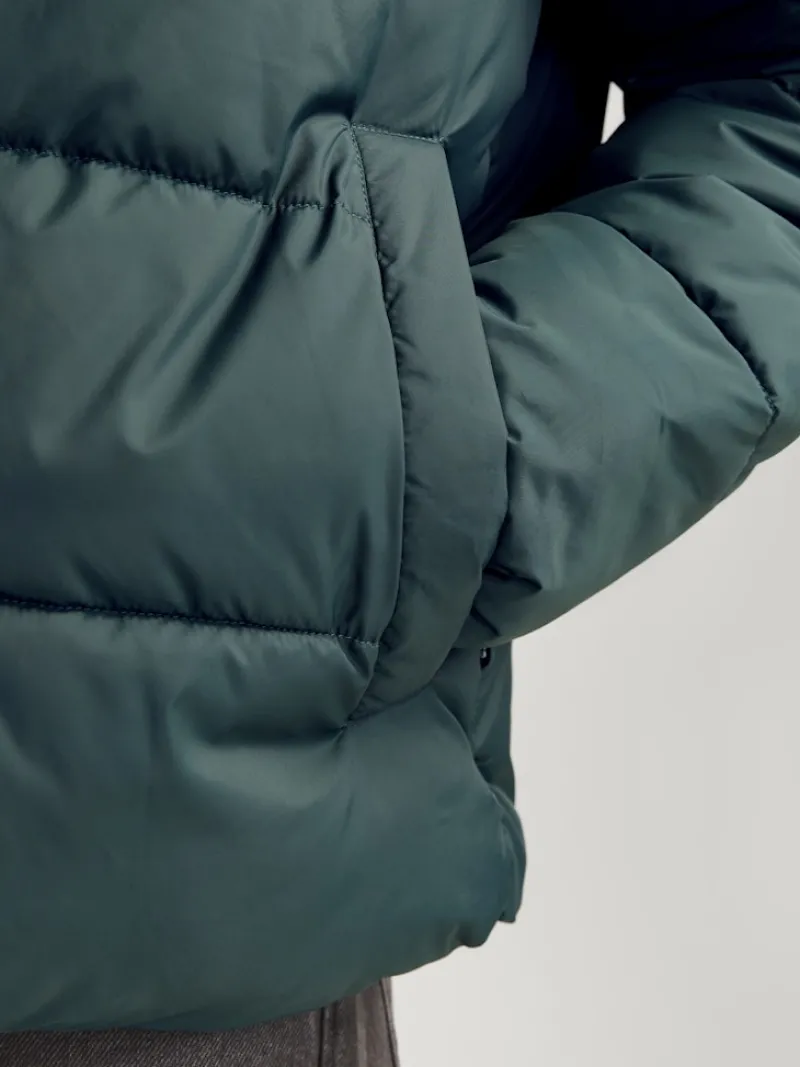 Jack & Jones Jacken*JJMOON STAND COLLAR PUFFER Magical Forest