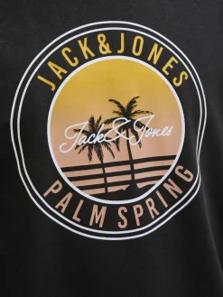 Jack & Jones Pullover & Sweatshirts*JJPALM SWEAT HOOD Black
