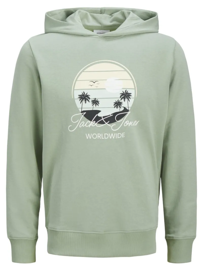 Jack & Jones Pullover & Sweatshirts*JJPALM SWEAT HOOD iceberg green