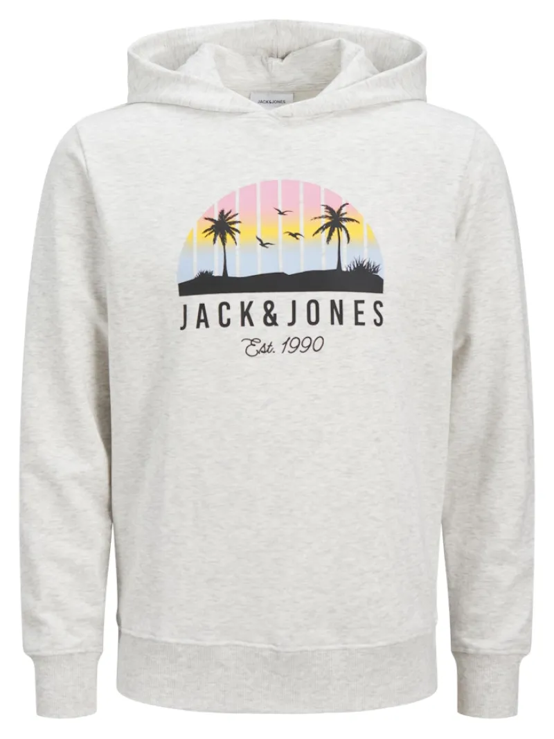 Jack & Jones Pullover & Sweatshirts*JJPALM SWEAT HOOD White Melange