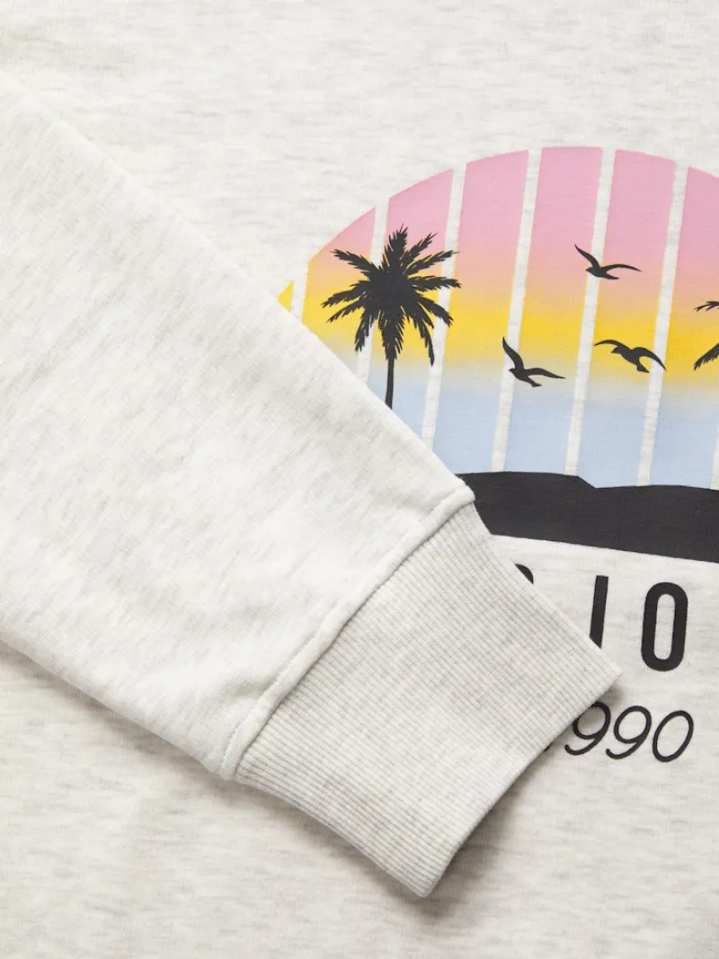 Jack & Jones Pullover & Sweatshirts*JJPALM SWEAT HOOD White Melange