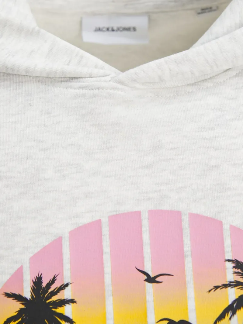 Jack & Jones Pullover & Sweatshirts*JJPALM SWEAT HOOD White Melange